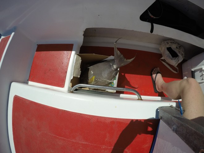 DCIM100GOPROG0010347.