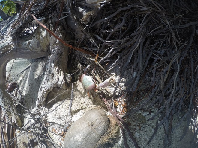 DCIM100GOPROGOPR0384.